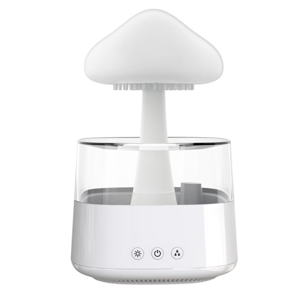 Regnmoln Luftfuktare