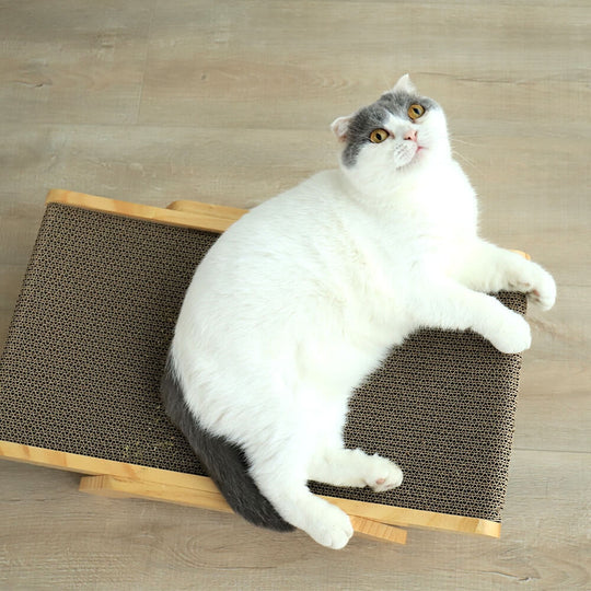 Cat Wooden Scratcher Bed