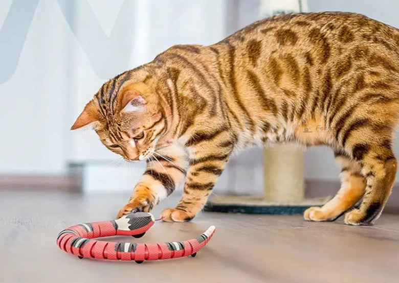 Husdjur Interaktiv Ormleksak