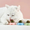 Catnip Roterande Molar Leksak