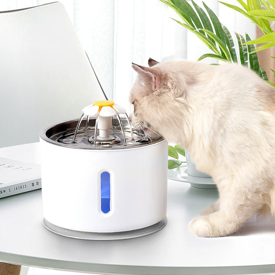 Pet Water Fountain