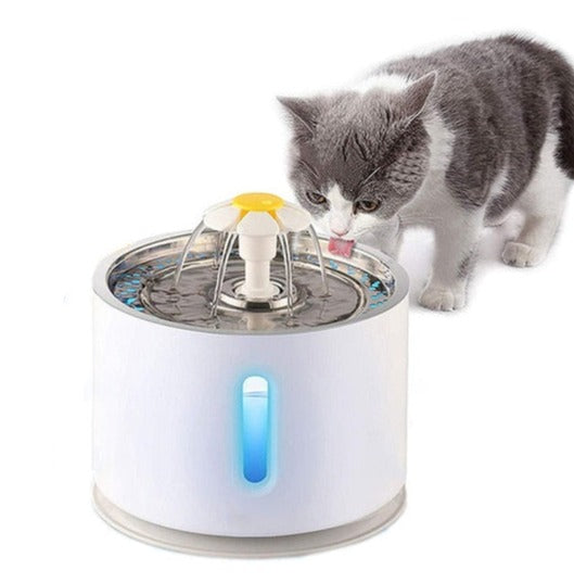 Pet Water Fountain