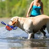 Interaktiv frisbee boll hund leksak