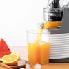 Caliber juicepressmaskin