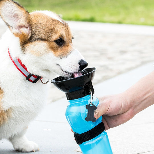 Bärbar Vattenflaska För Hund