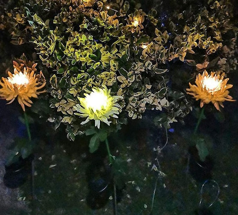 Chrysanthemum LED solcellsljus