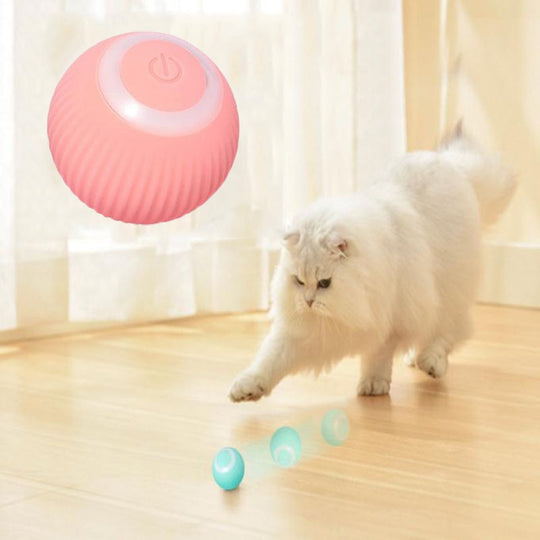 Pet Gravity Ball