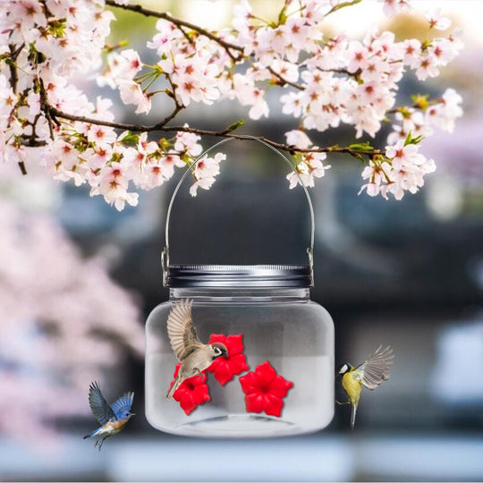 Kolibri Feeder Jar med portar blomma