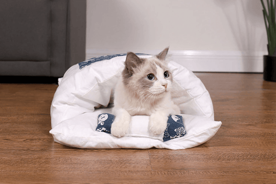 Katt Sovsäck