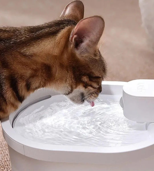 Smart Sensor Cat Vattenfontän