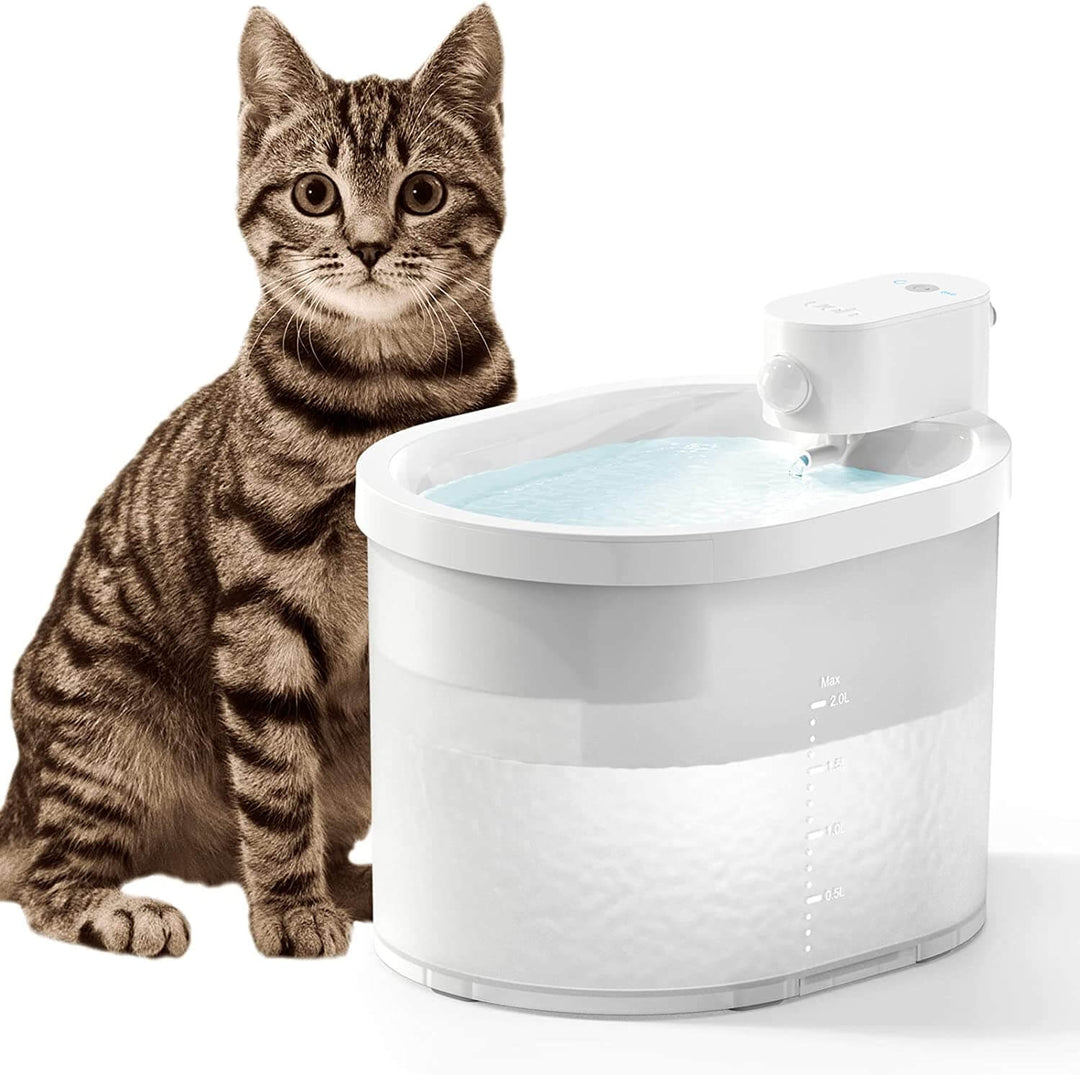 Smart Sensor Cat Vattenfontän