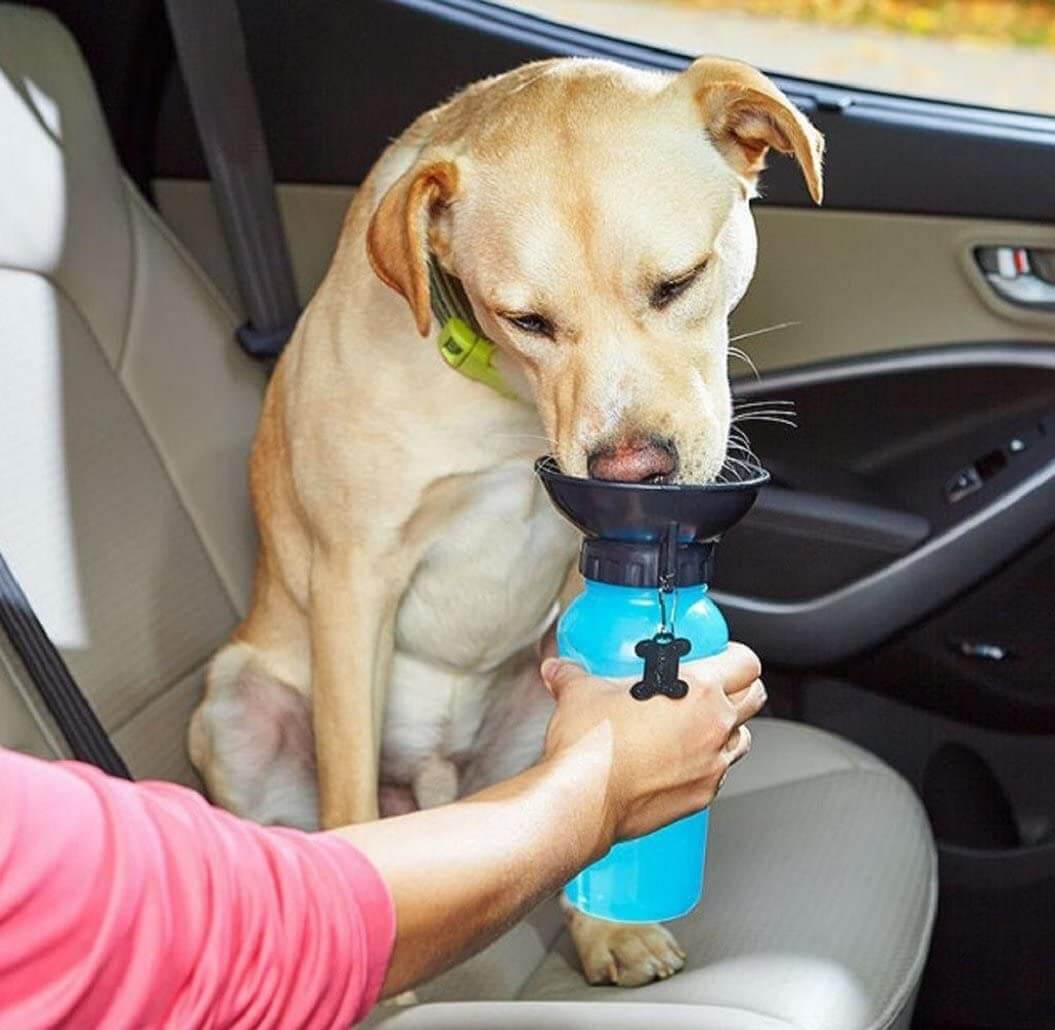Bärbar Vattenflaska För Hund