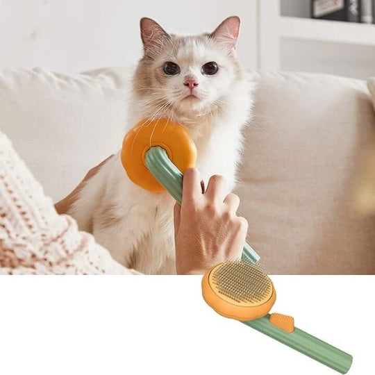 Pumpa Pet Brush